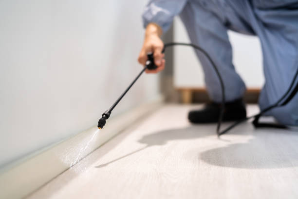 Licensed Pest Control service in Roseville, CA - Show Me Pest Control